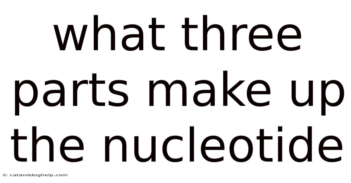 What Three Parts Make Up The Nucleotide