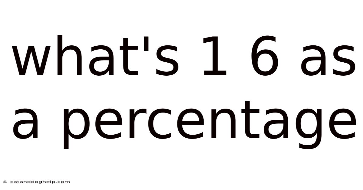 What's 1 6 As A Percentage