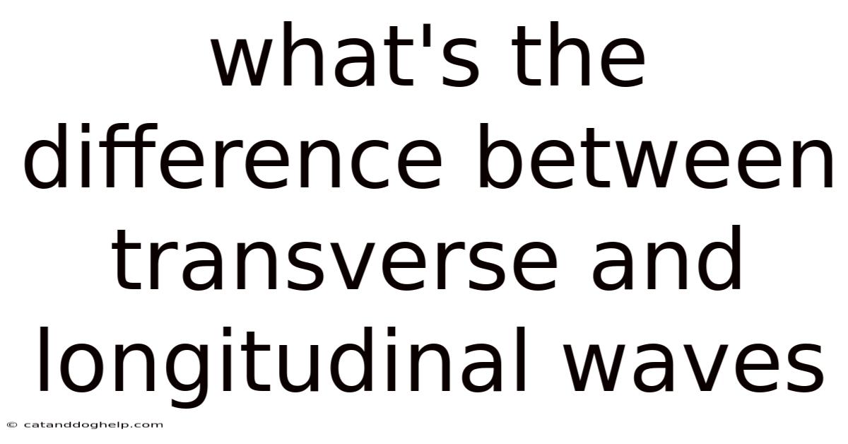 What's The Difference Between Transverse And Longitudinal Waves