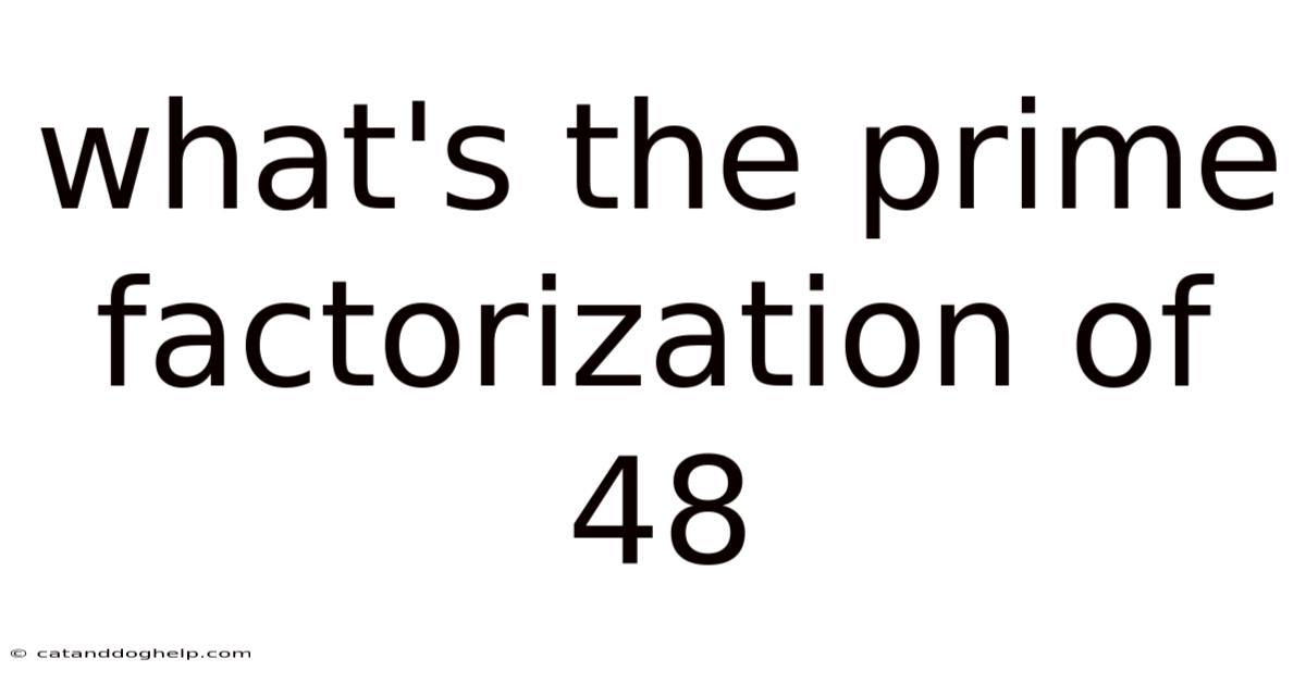 What's The Prime Factorization Of 48