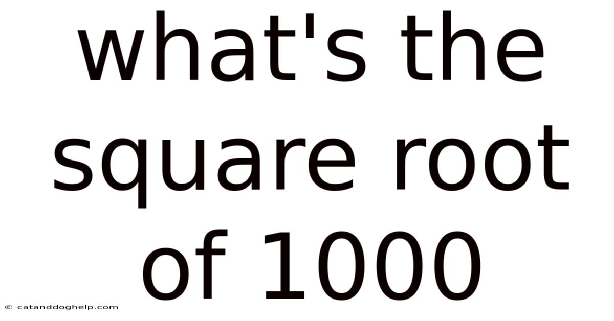 What's The Square Root Of 1000