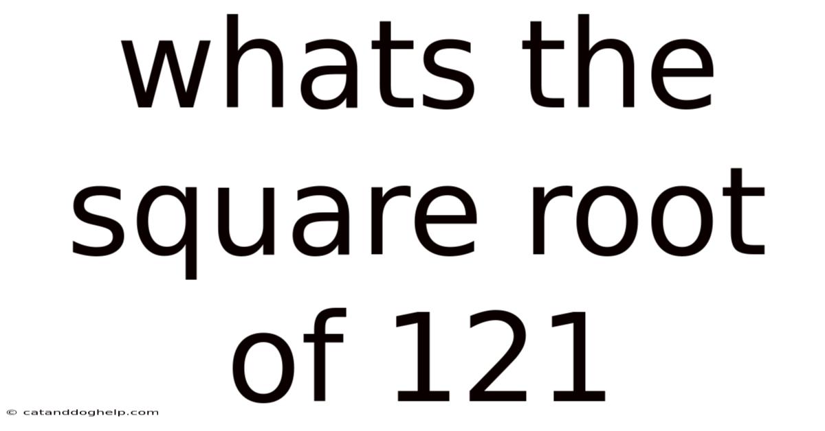 Whats The Square Root Of 121