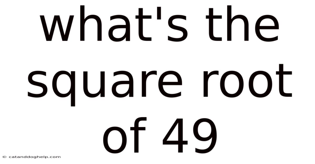 What's The Square Root Of 49