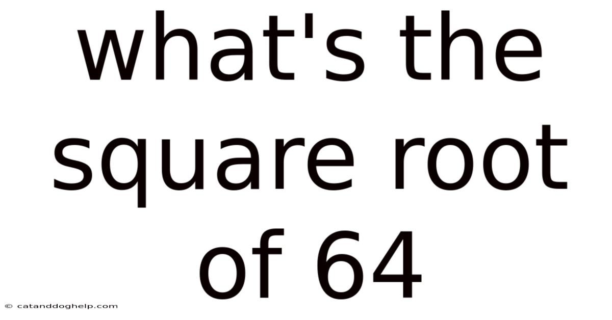 What's The Square Root Of 64