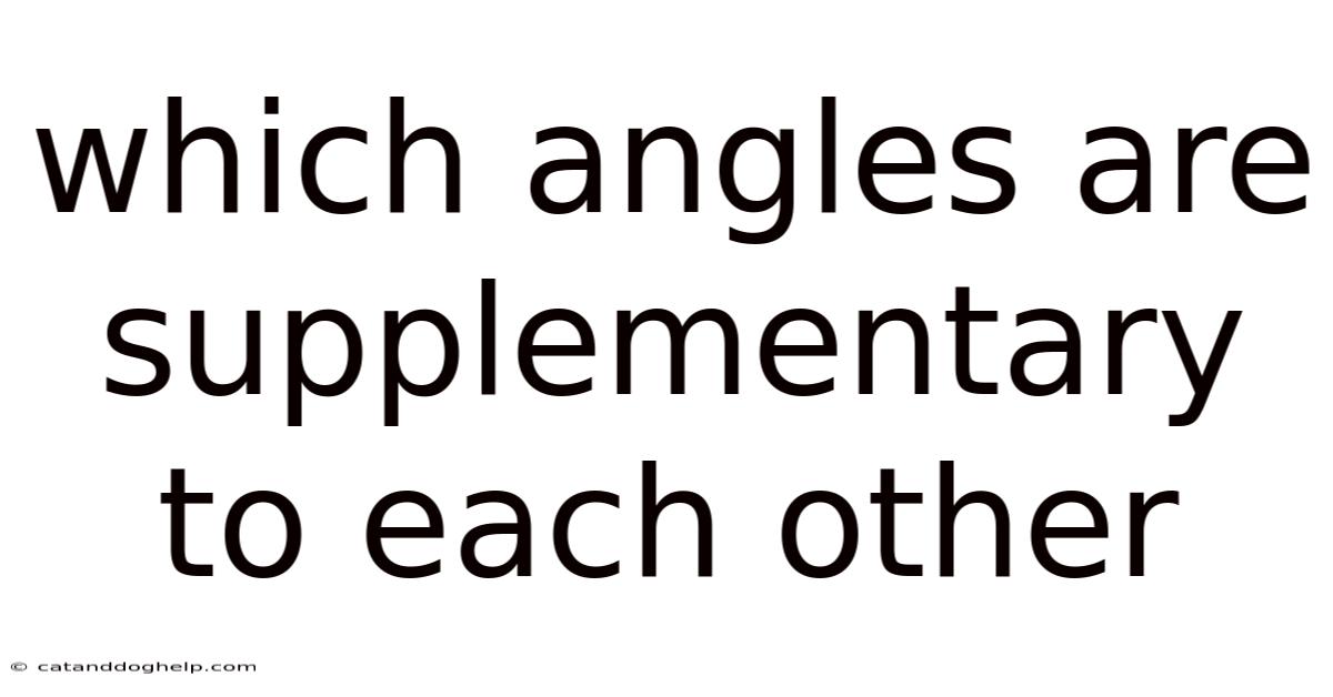 Which Angles Are Supplementary To Each Other