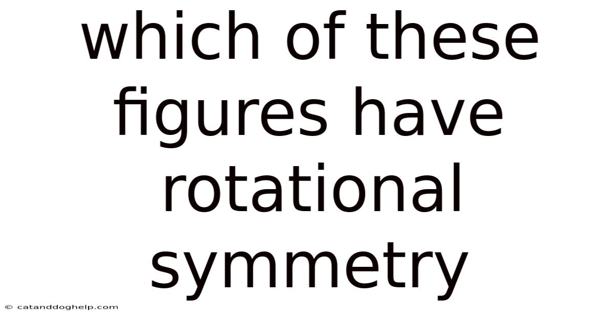 Which Of These Figures Have Rotational Symmetry