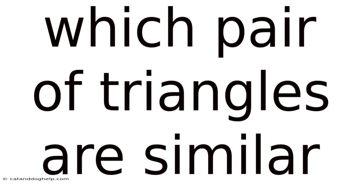 Which Pair Of Triangles Are Similar