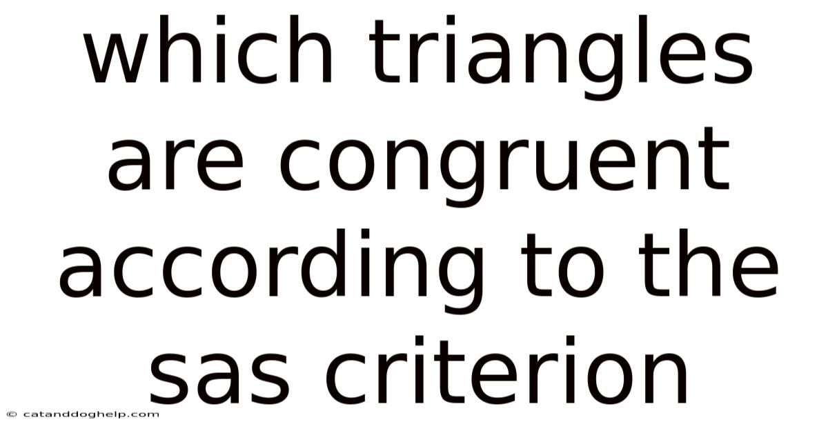 Which Triangles Are Congruent According To The Sas Criterion