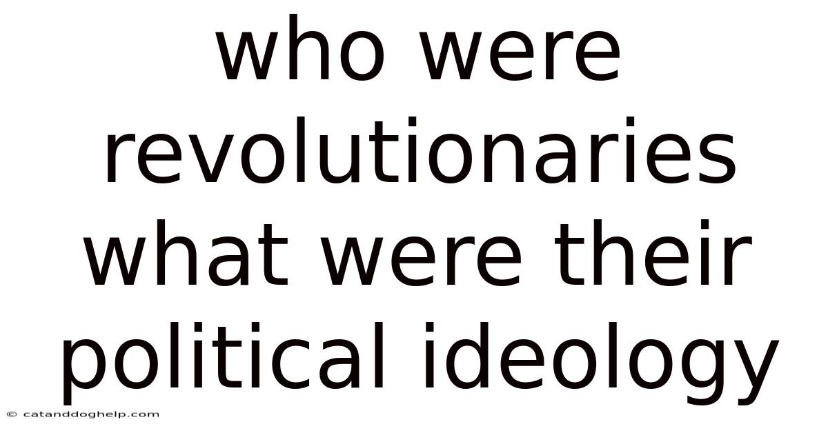 Who Were Revolutionaries What Were Their Political Ideology