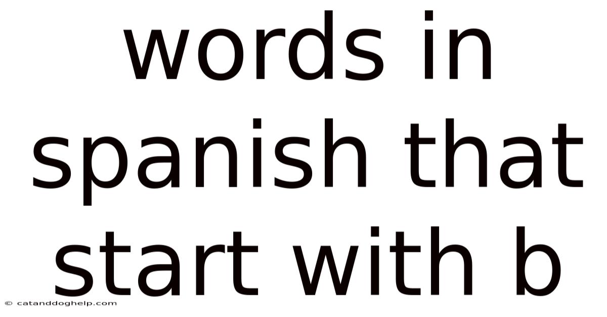 Words In Spanish That Start With B