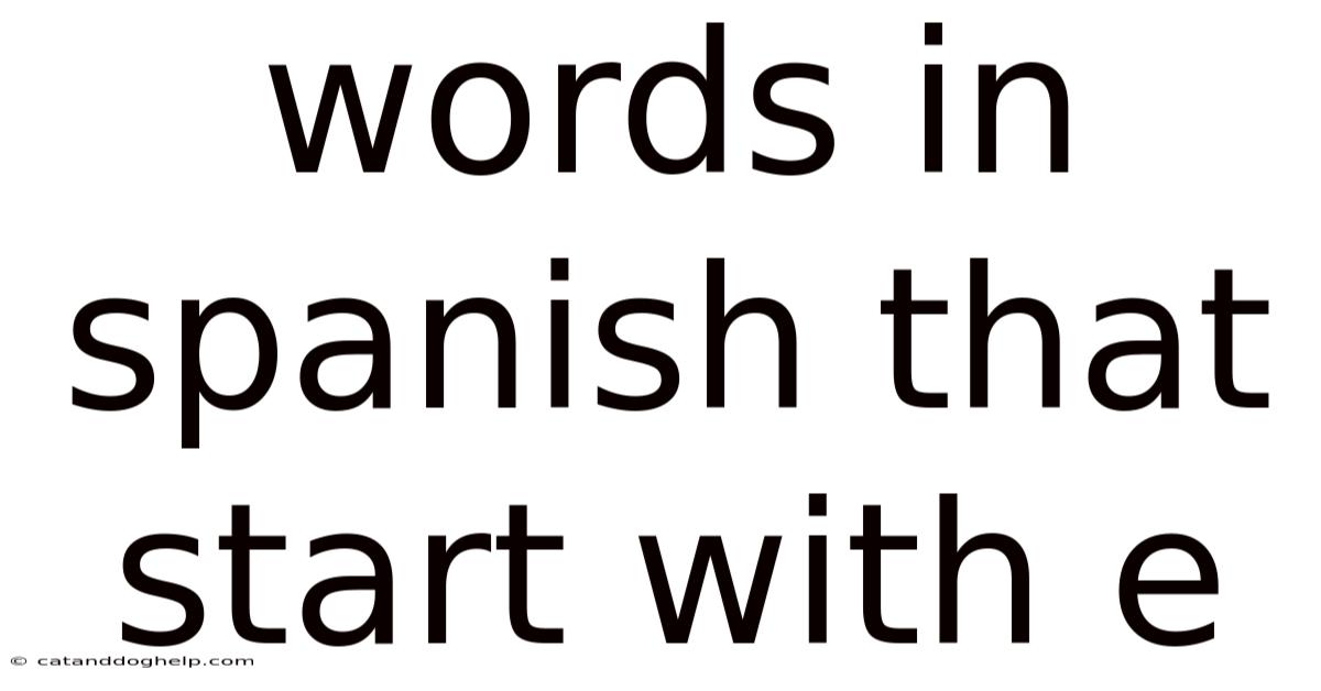Words In Spanish That Start With E