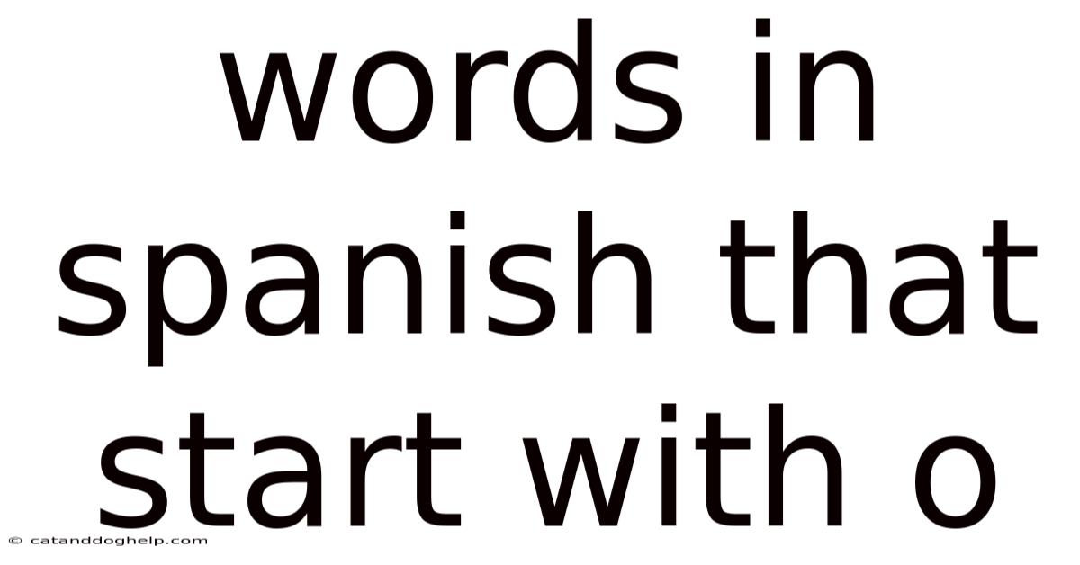 Words In Spanish That Start With O