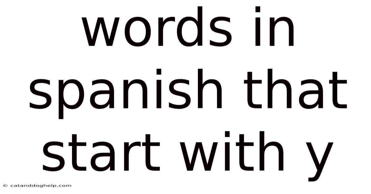 Words In Spanish That Start With Y