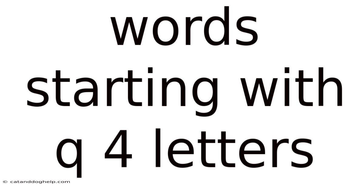Words Starting With Q 4 Letters