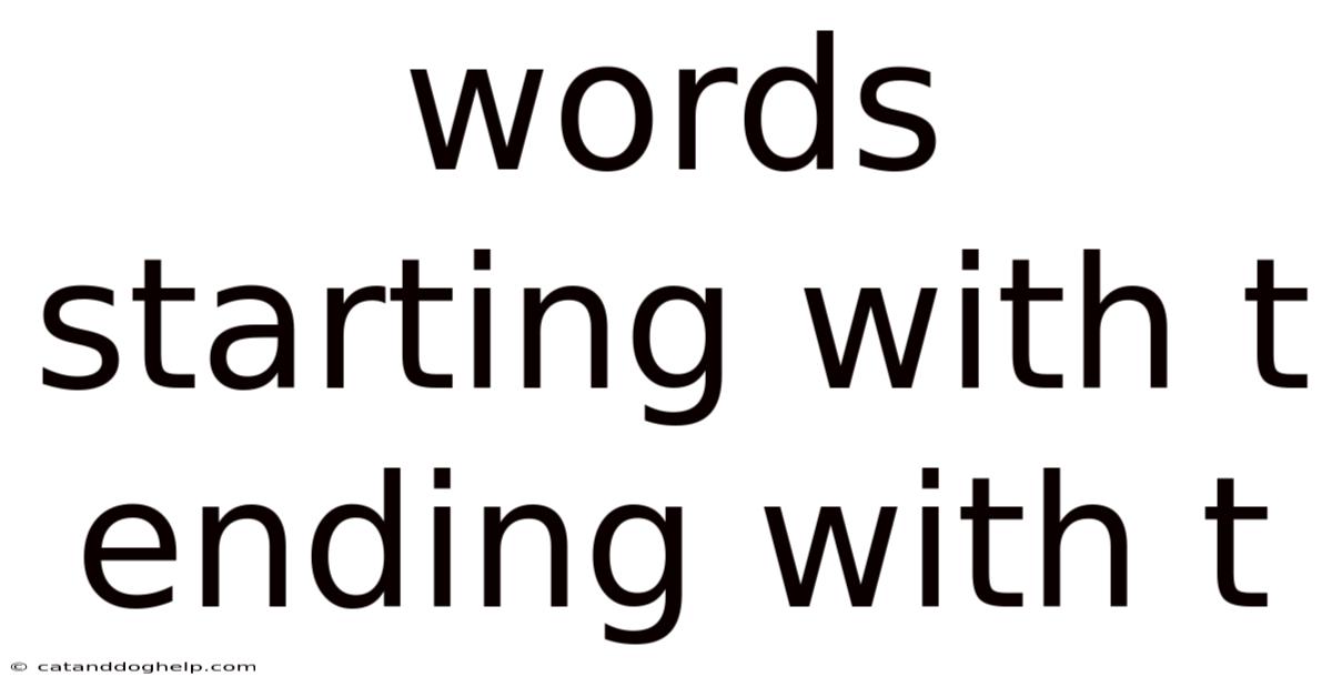 Words Starting With T Ending With T