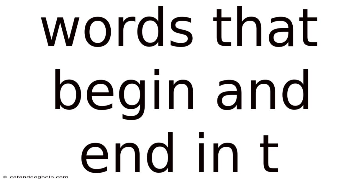 Words That Begin And End In T