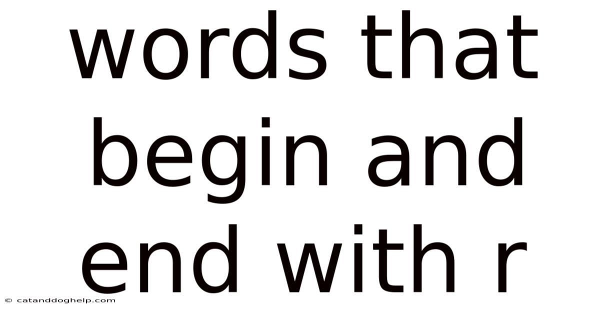 Words That Begin And End With R