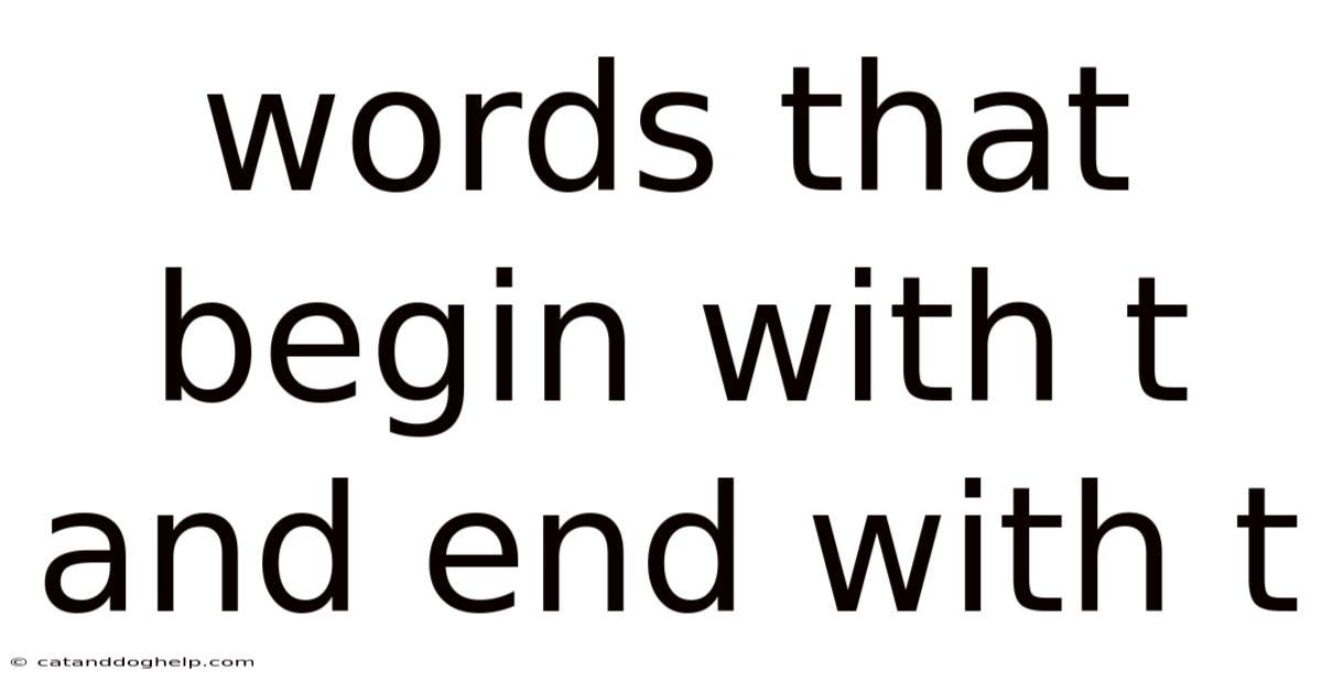 Words That Begin With T And End With T