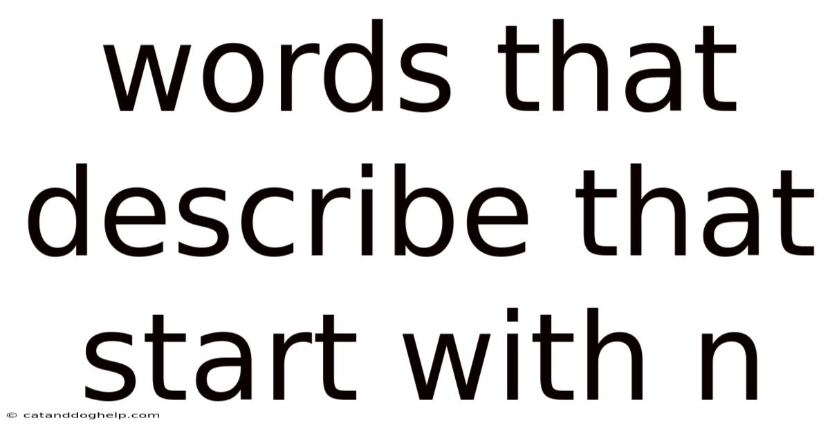 Words That Describe That Start With N