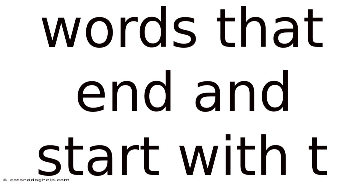 Words That End And Start With T