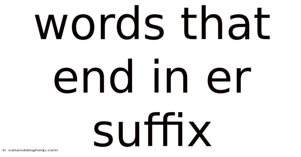 Words That End In Er Suffix