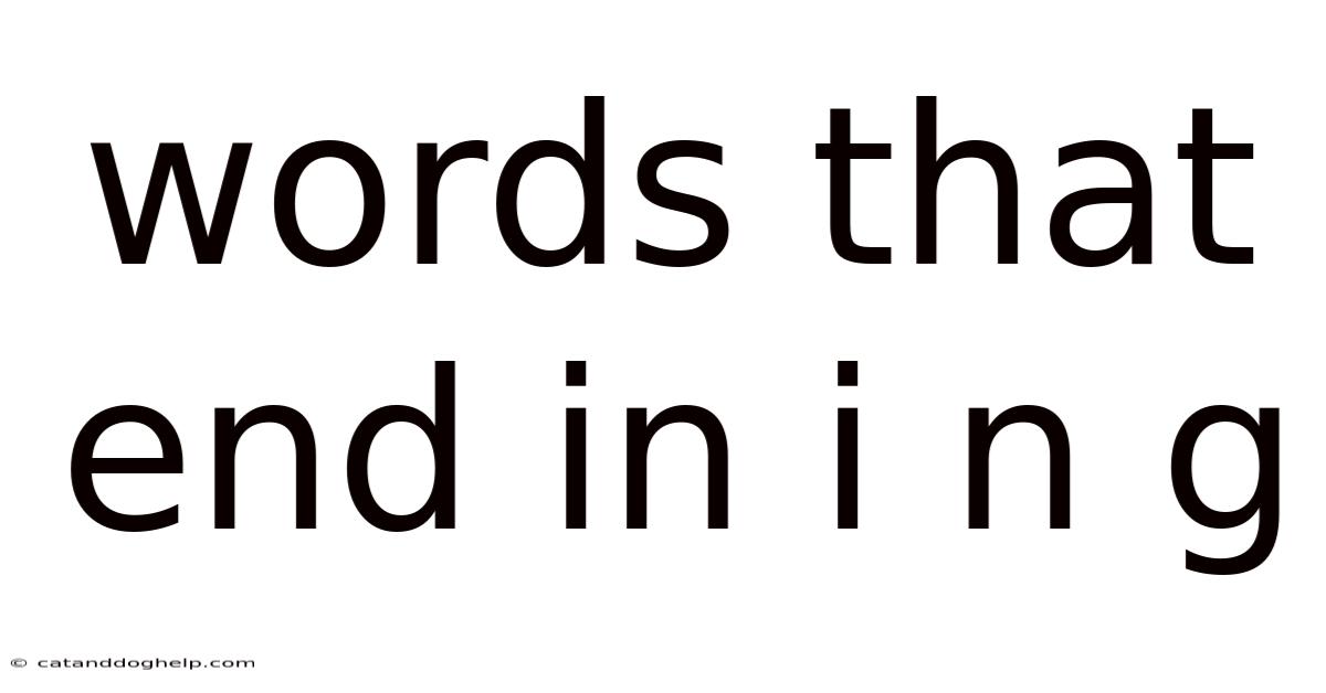 Words That End In I N G