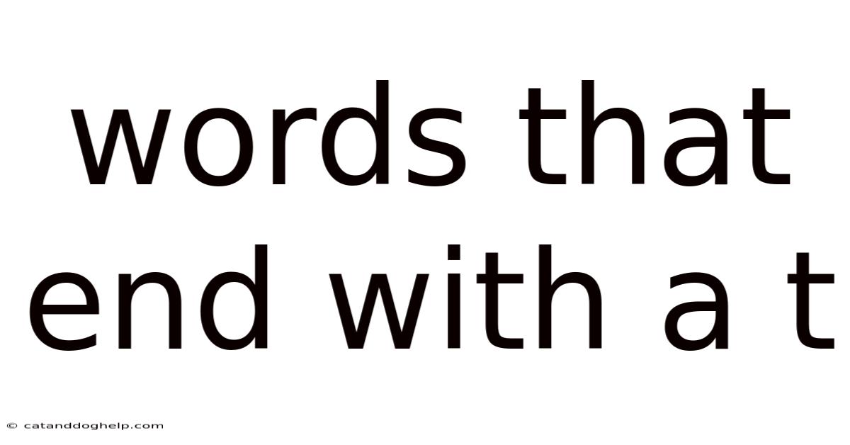 Words That End With A T
