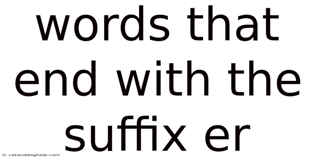 Words That End With The Suffix Er