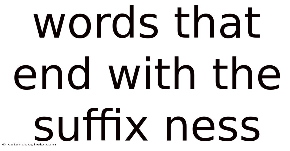 Words That End With The Suffix Ness