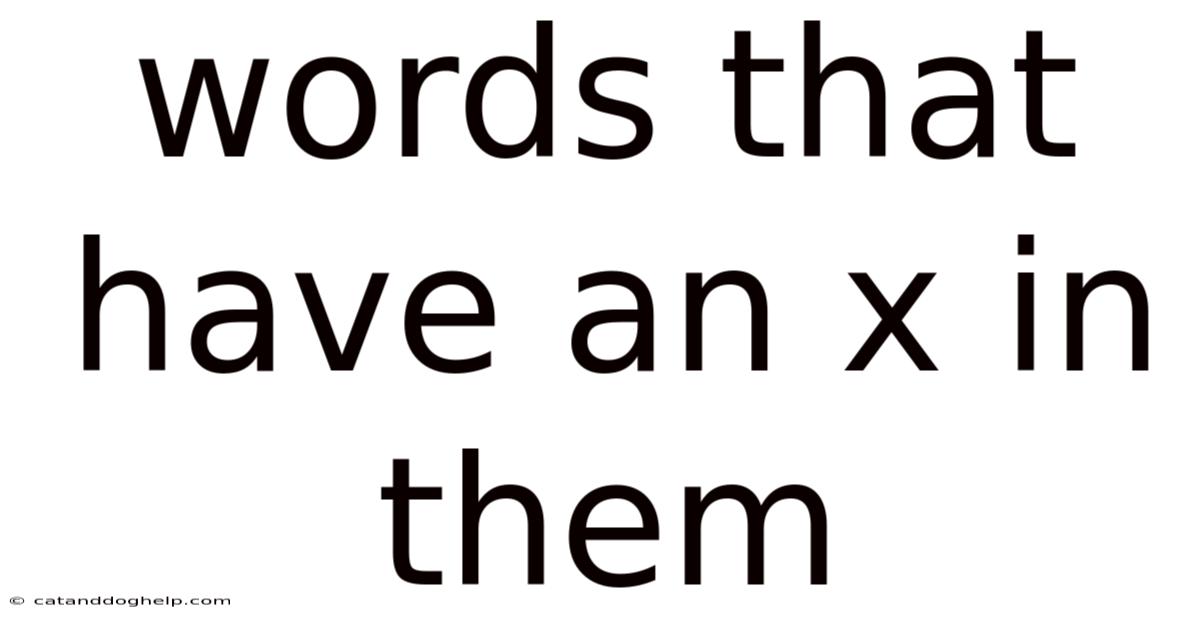 Words That Have An X In Them
