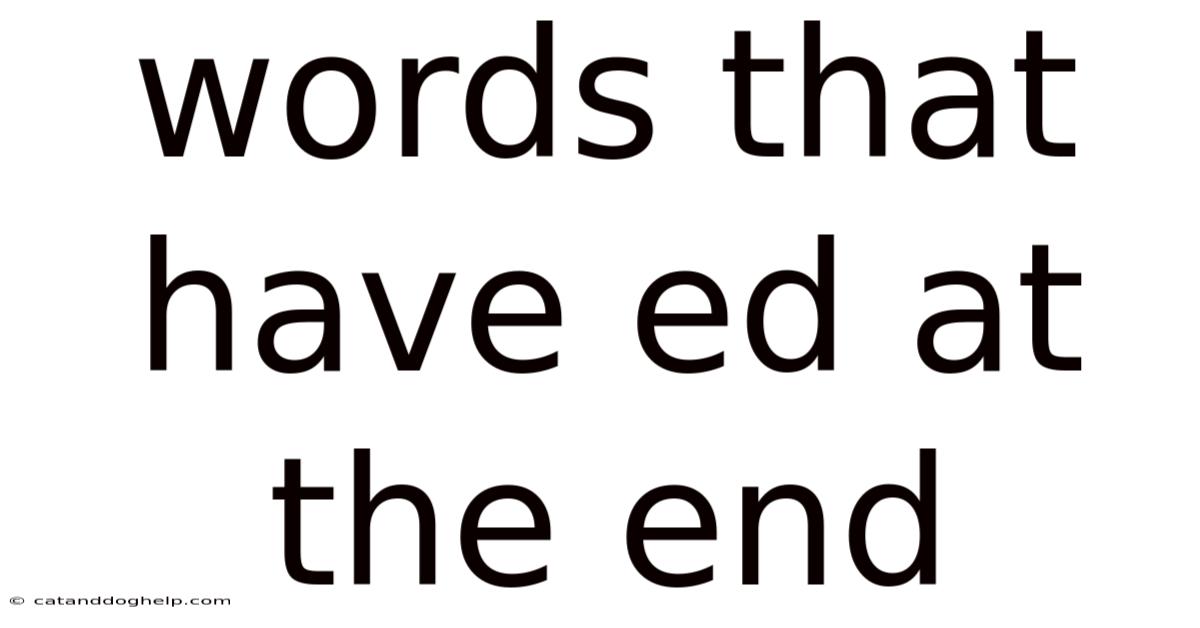 Words That Have Ed At The End