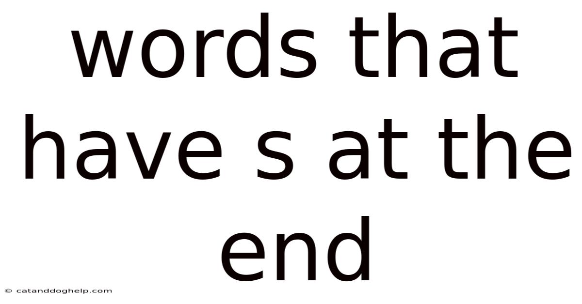 Words That Have S At The End