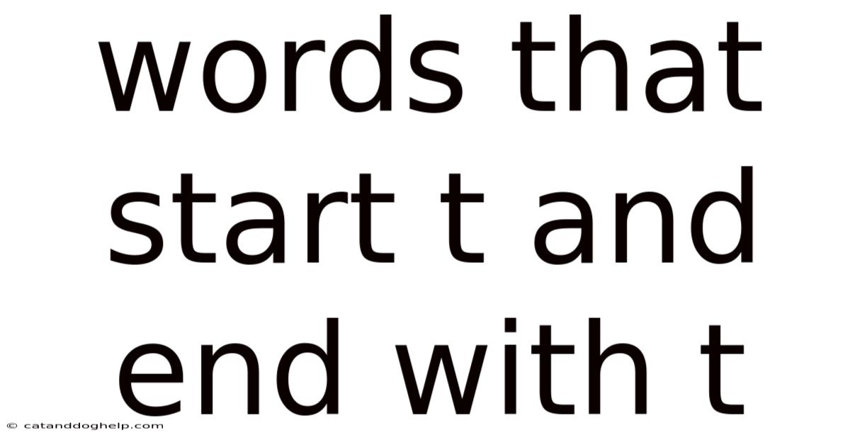 Words That Start T And End With T