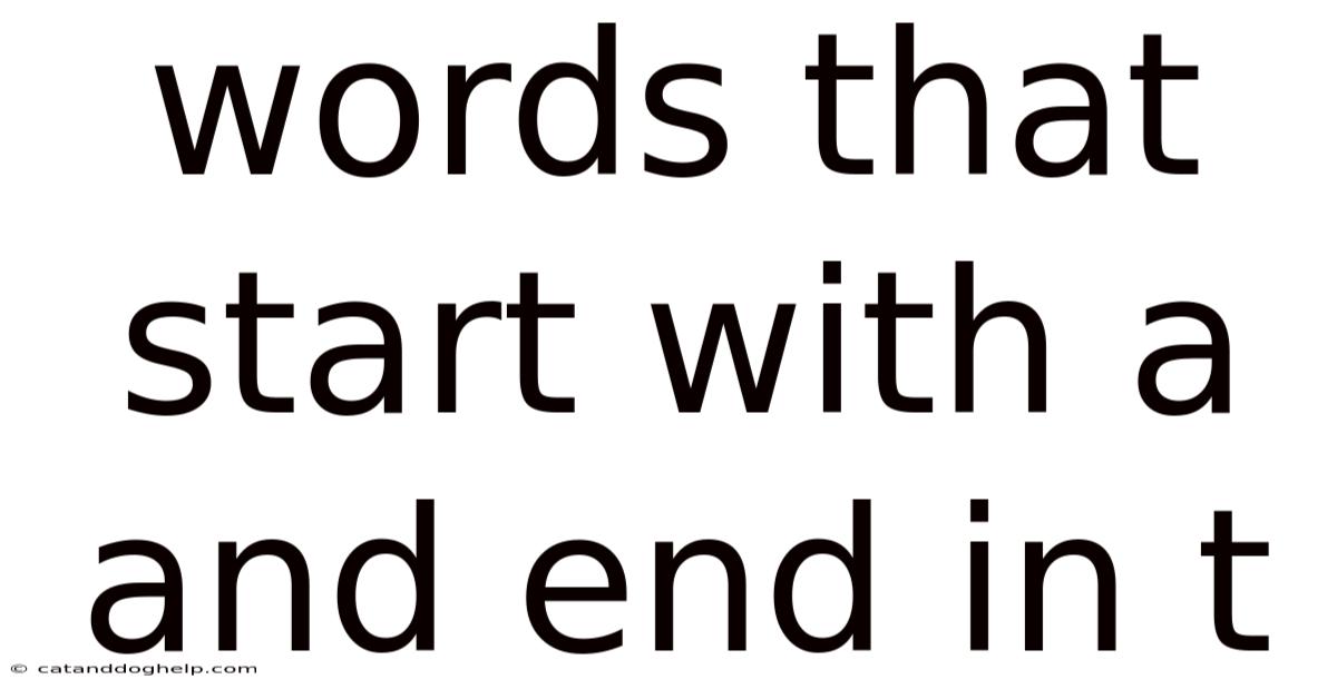 Words That Start With A And End In T