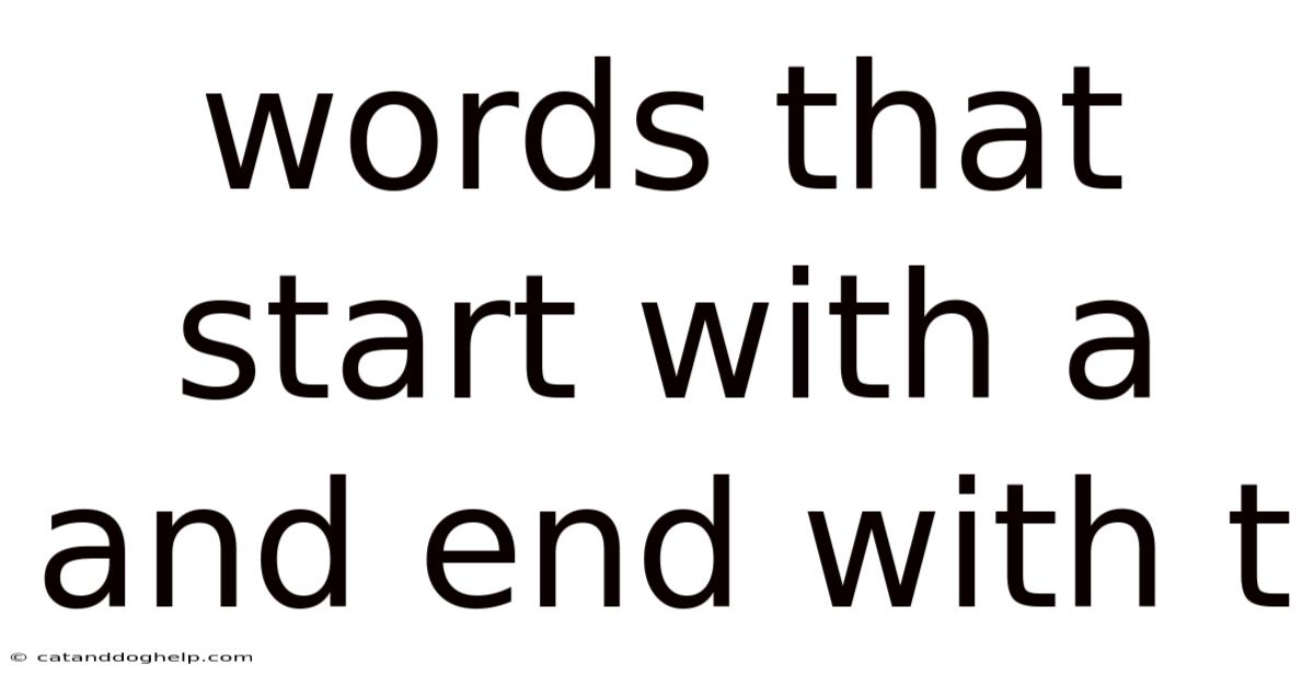 Words That Start With A And End With T