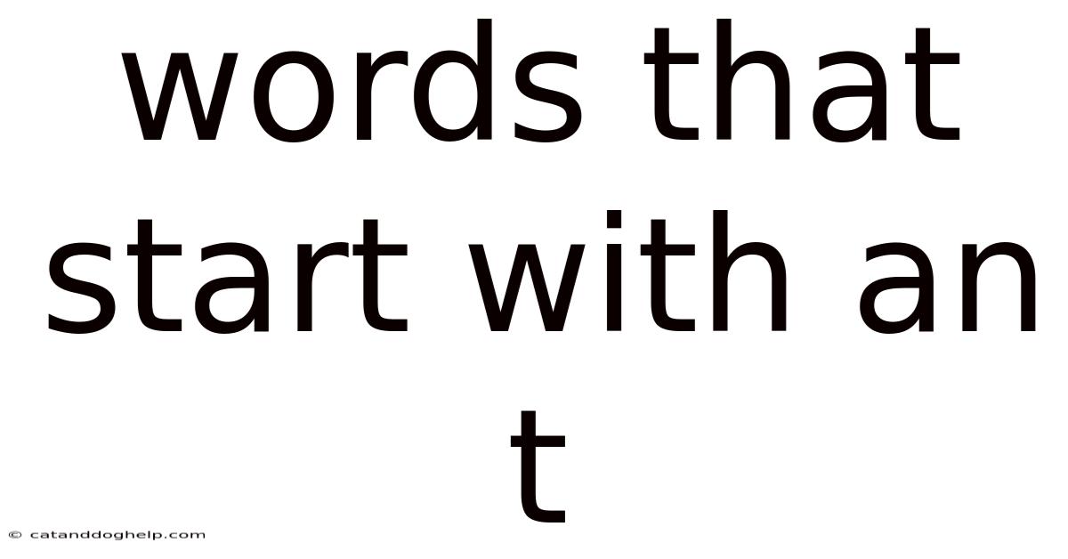 Words That Start With An T