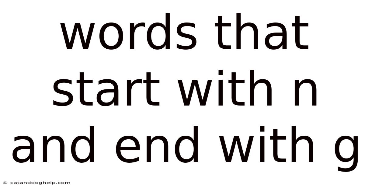 Words That Start With N And End With G
