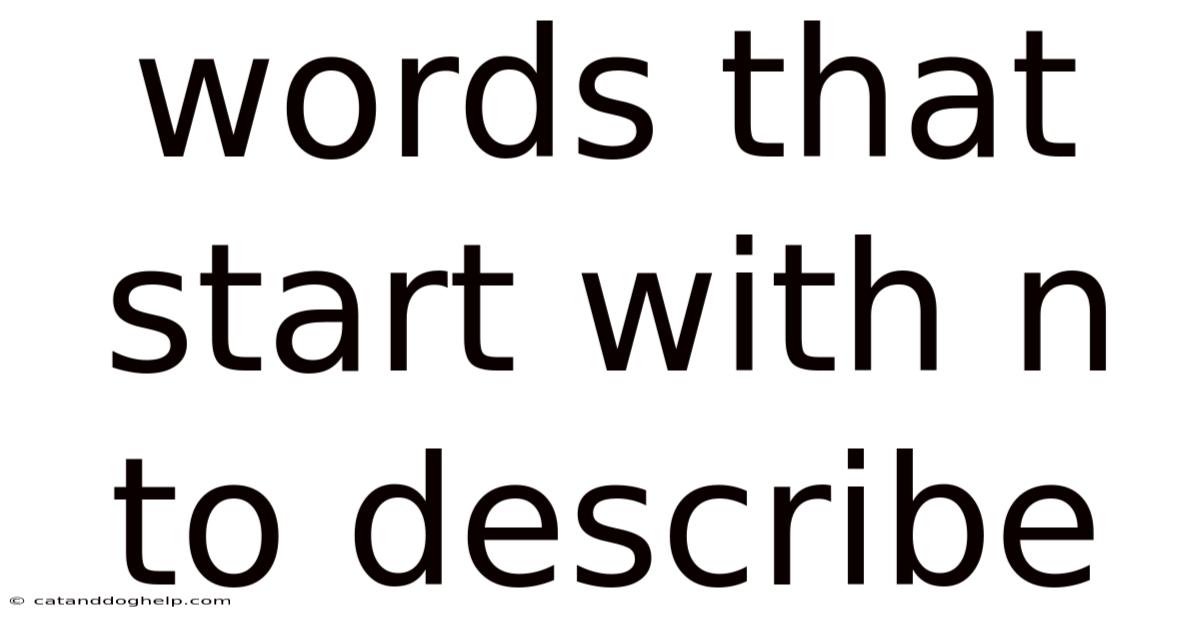 Words That Start With N To Describe