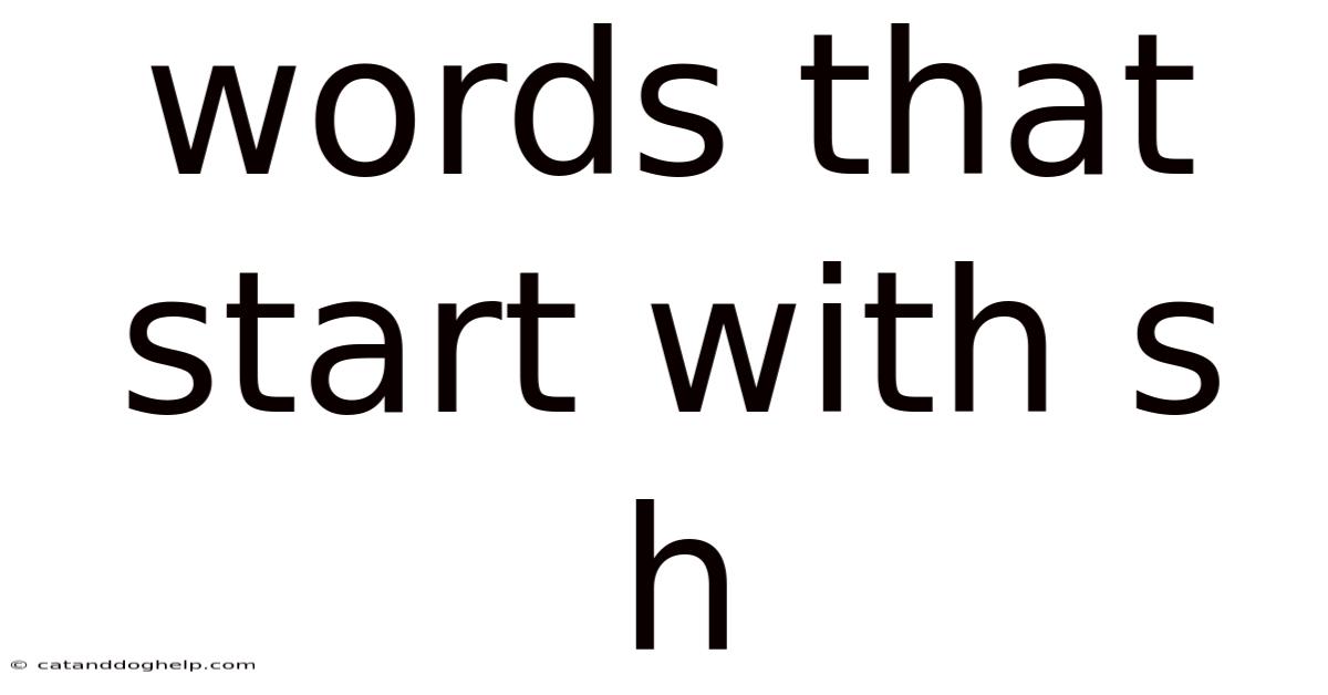 Words That Start With S H
