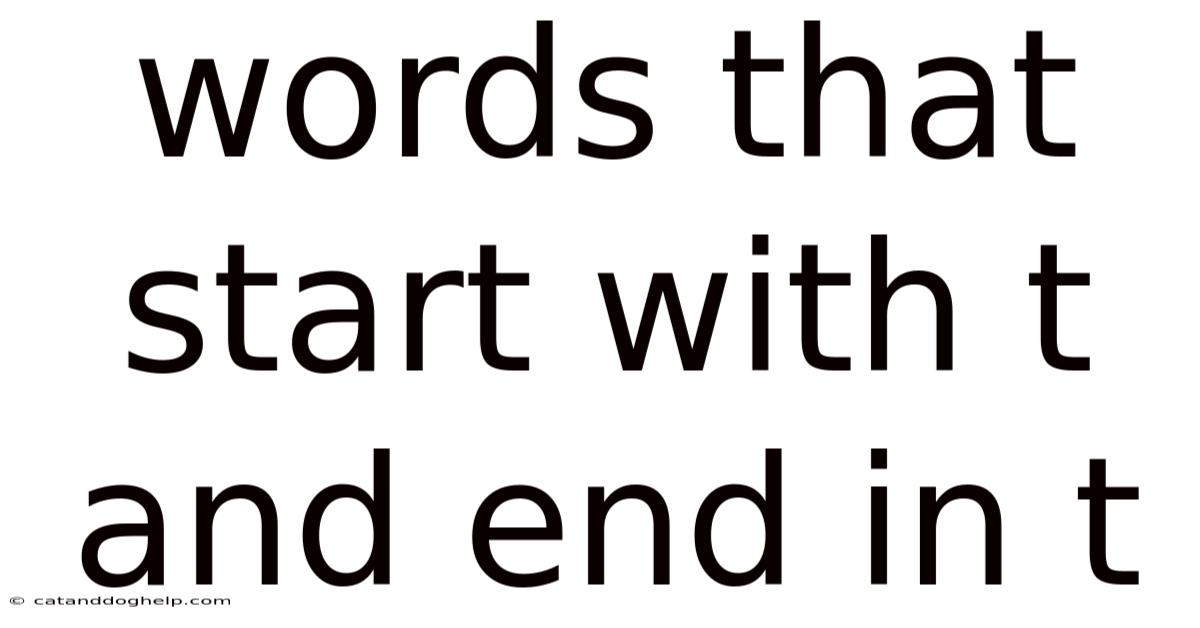 Words That Start With T And End In T