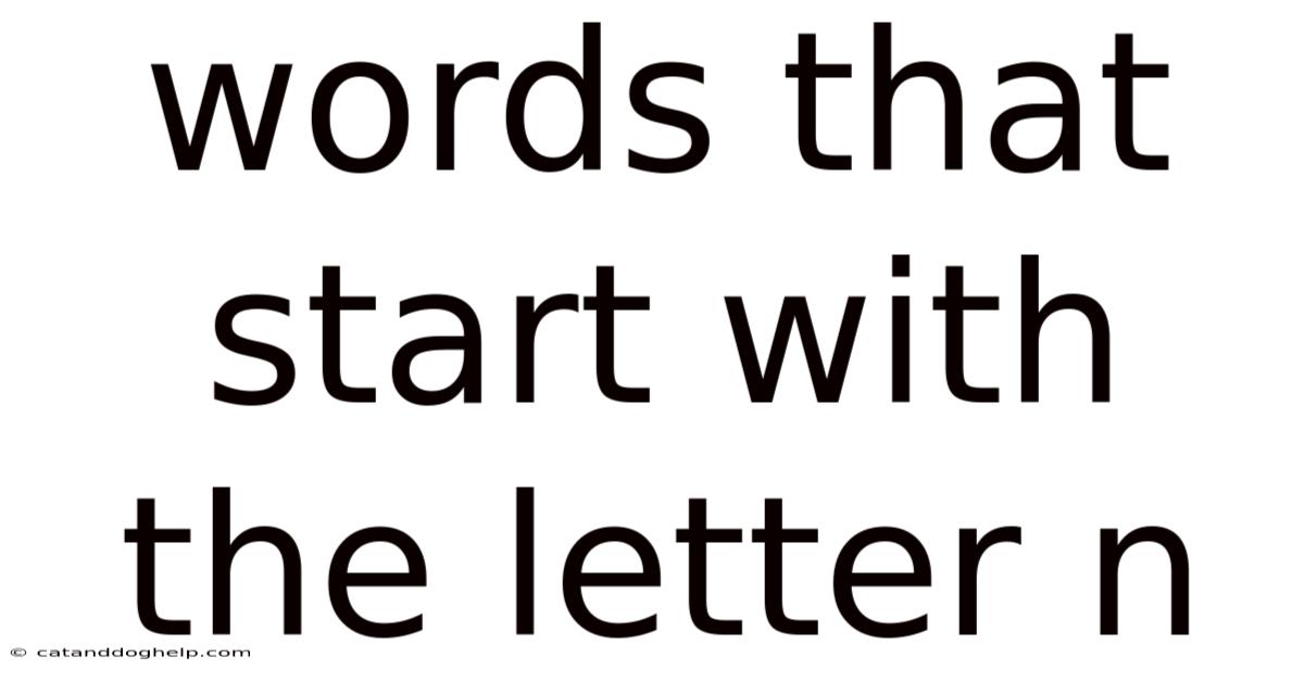 Words That Start With The Letter N