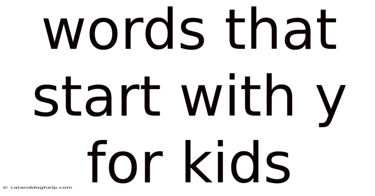 Words That Start With Y For Kids