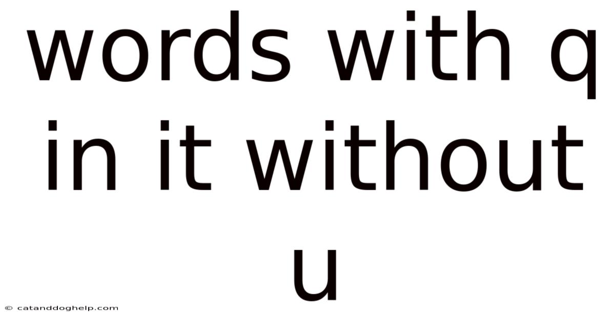 Words With Q In It Without U