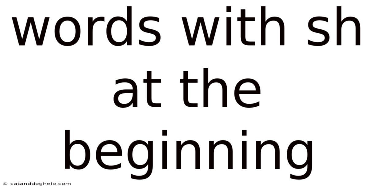 Words With Sh At The Beginning