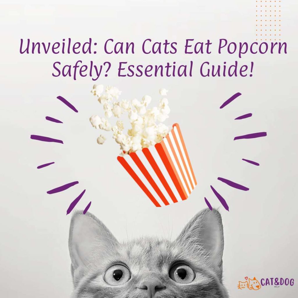 Unveiled Can Cats Eat Popcorn Safely Essential Guide!
