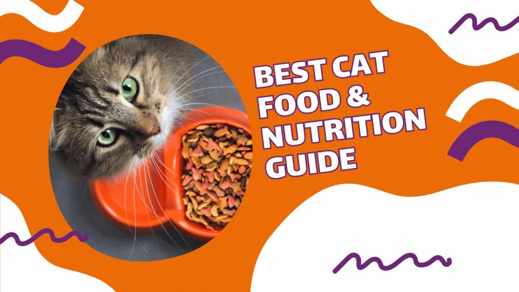 best cat food nutrition guide