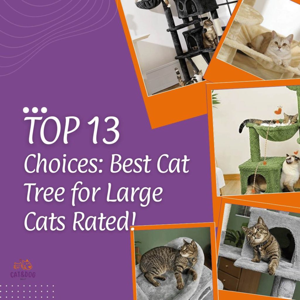Best Cat Tree For Large Cats
