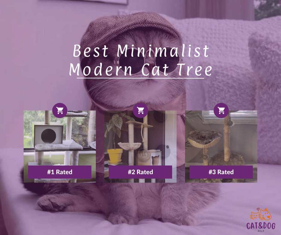Best Minimalist Modern Cat Tree