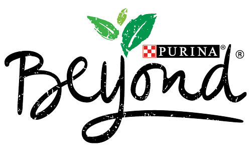 Purina Beyond Cat Food Reviews