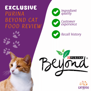 Purina Beyond Cat Food Reviews